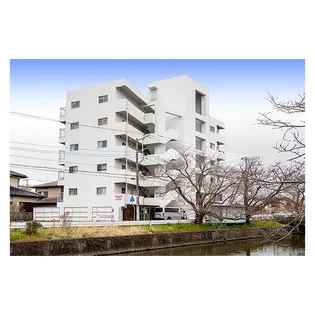 ロイヤルシティ久松【6階】の外観