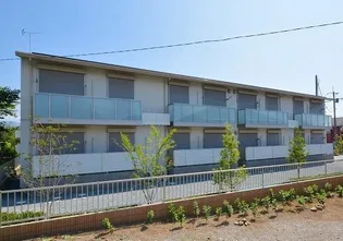 ニュー モンテの画像