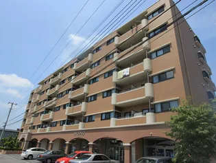 KAISHOの画像