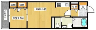 ルナ・ラパン【3階】の間取り