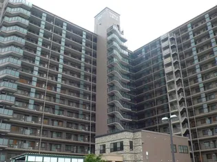 ダイアパレス文理大南弐番館【12階】の外観