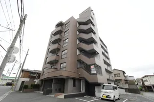 ラフィーヌ重住の画像
