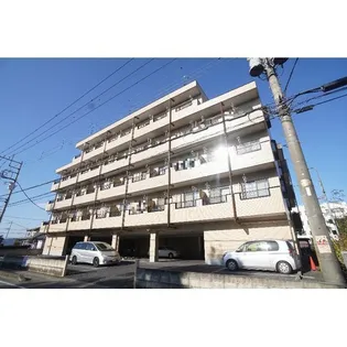 森のコート綿貫の画像