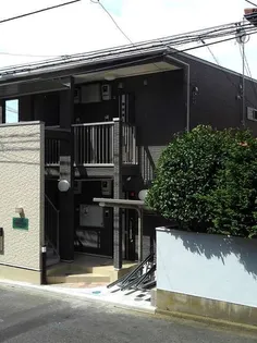 ルピナス 戸塚の画像