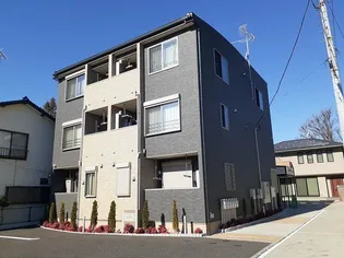 プレアデスIの画像