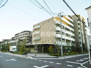 シャリエ朝霞の画像