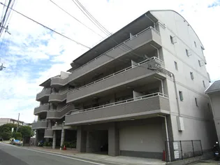 ドルフサトウの画像