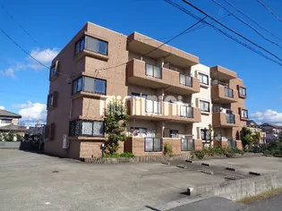 ライムライトAⅡの画像