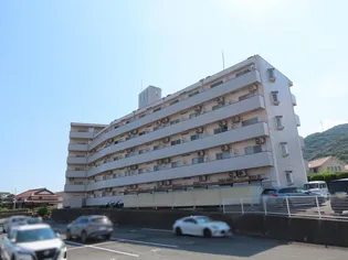 アクティブSⅡの画像