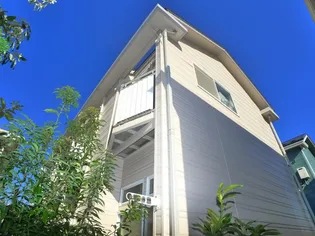 ウィスタリアの画像