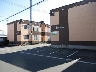 サフランBの画像