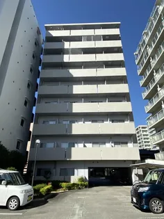 ヴェルドミールの画像