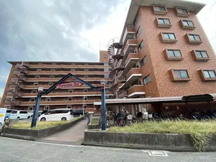 ピュアネスDOIの画像