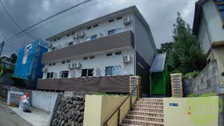 ブリリアント グリーンの画像