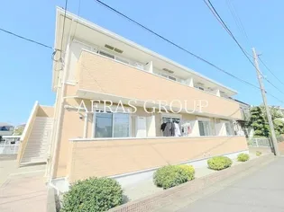 パシモンの画像