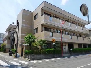 パールすぎたの画像