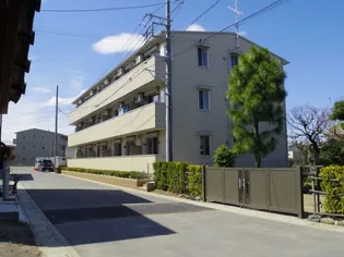 アネシスの画像