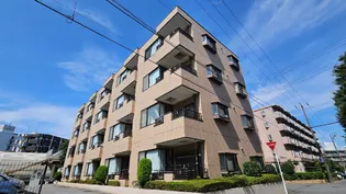 メゾン・ルーヴル【4階】の外観