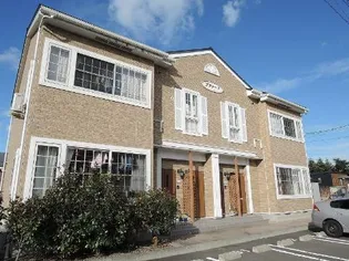 プラシードの画像