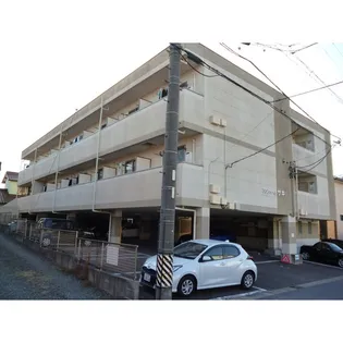 コンフォールサキの画像