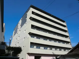 レグルスの画像