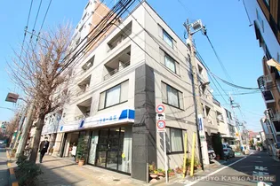 エーデルワイスの画像