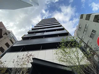 ザ・パークハビオ五反田【10階】の外観