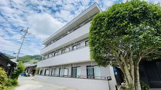 メゾンドールの画像