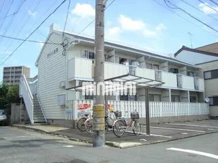 タウニー大秋の画像