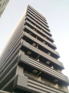メインステージ八王子TOKYOWESTの画像