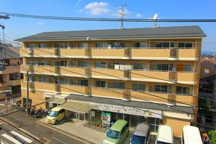 サンフェリカの画像