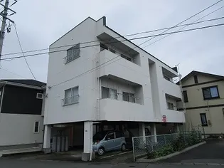 ハイネスKの画像