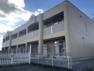 ラヴィータの画像