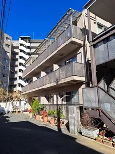 コンフォート Mの画像