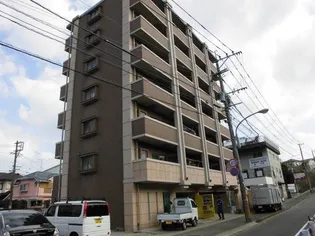 メイワコンチネンタルの画像