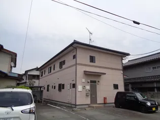 カモミールの画像