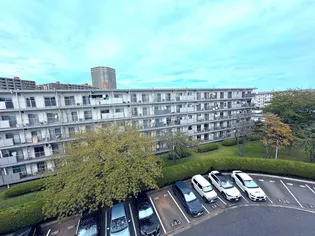 高洲第一団地の画像