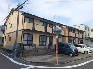 サンフラワーの画像