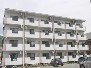 ワイズガーデンの画像