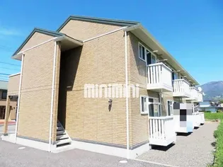 パルムドールの画像