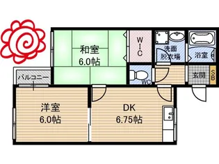 シームリーワン【1階】の間取り