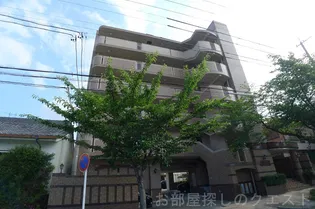 リトルフォレストの画像