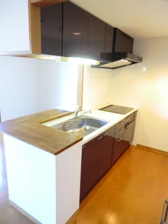 グレイシャス33【7階】のキッチン