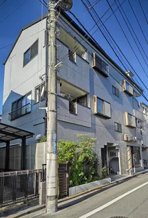 ブルーベルコンノの画像