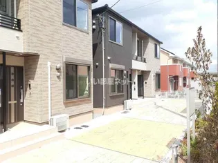 セントポーリアAの画像