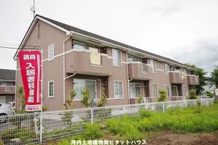 プリムローズBの画像