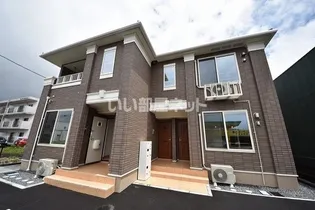 ひまわりの画像