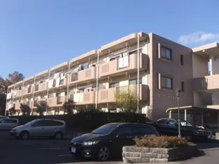 サンツヤマモトA【1階】の外観