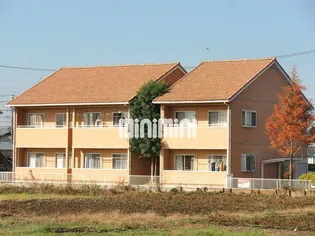 ラ ヴィ ベイルの画像