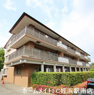 エクセルシオールの画像